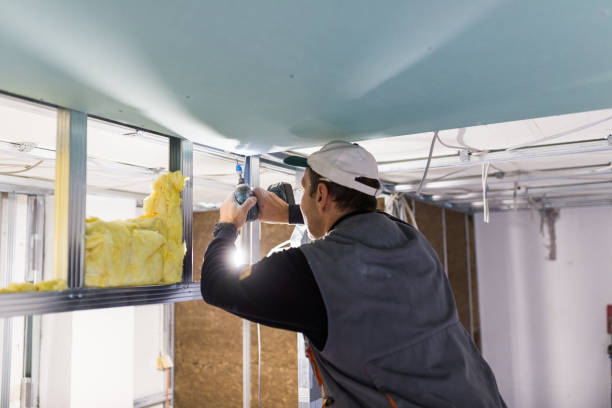 Best Eco-Friendly or Green Insulation Solutions  in Franklin Park, FL