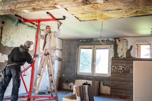 Trusted Franklin Park, FL Insulation Installation & Removal Experts