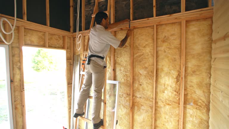 Best Spray Foam Insulation  in Franklin Park, FL