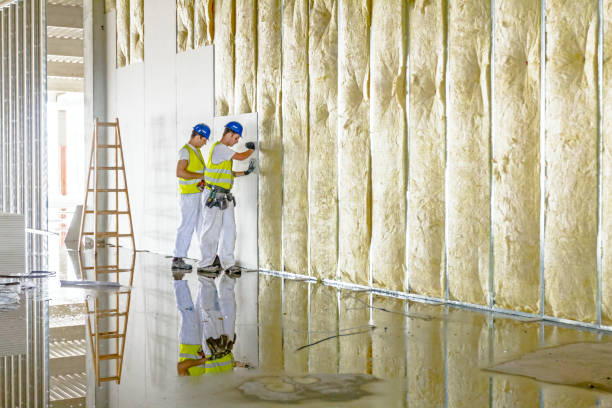 Best Wall Insulation Installation  in Franklin Park, FL